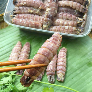 Thịt tôm tít