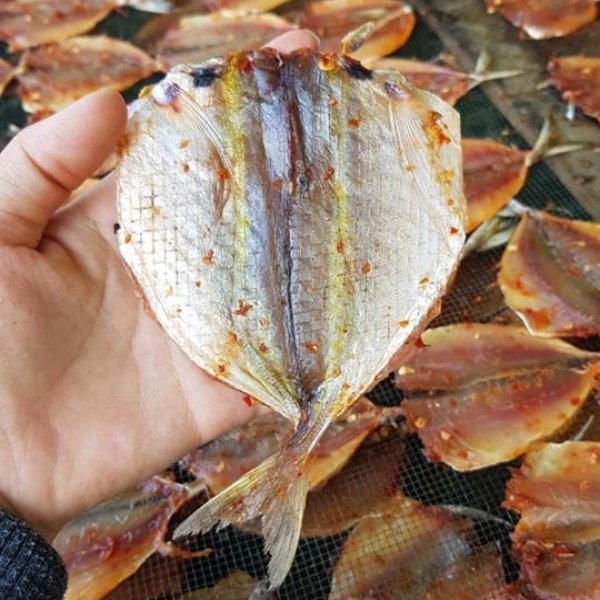 Cá Chỉ Vàng 1 Nắng/ 1kg