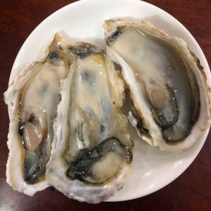 Hàu Nhật Nguyên Con